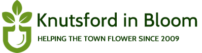 Knutsford in Bloom
